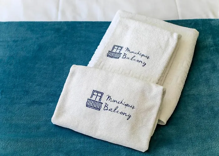 Lejlighed Monchique's Balcony Porto